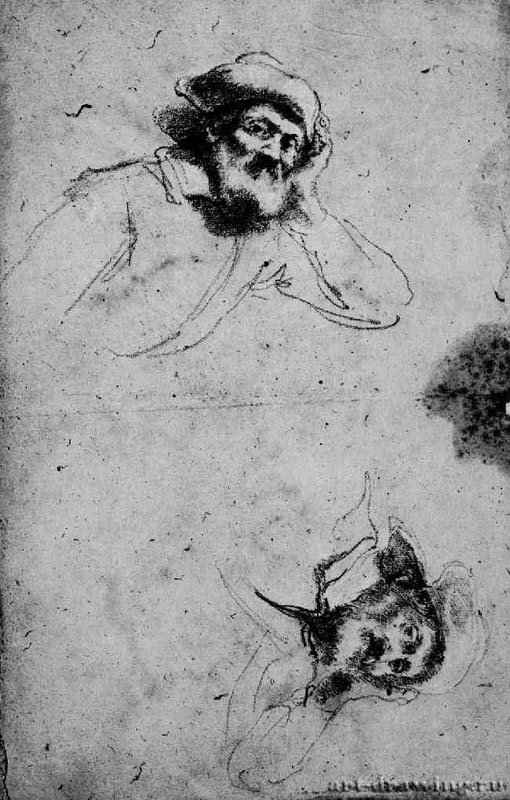 Этюд головы Микеланджело. 1620-1621 - 395 х 268 мм Черный и белый мел, на коричневатой бумаге Флоренция Уффици, Кабинет рисунков и гравюр Италия