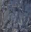 Святой Иероним в отшельничестве (в лесу). 1510-1512 - 205 x 144 мм. Перо черным тоном, подсветка белым, на грунтованной светло-голубым тоном бумаге. Лондон. Британский музей, Отдел гравюры и рисунка. Германия.