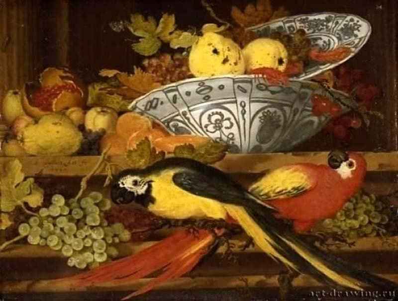 Натюрморт с фруктами и попугаями ара. 1622 - Масло, медь 20,5 x 26,8 Музей Фицвильям Кембридж
