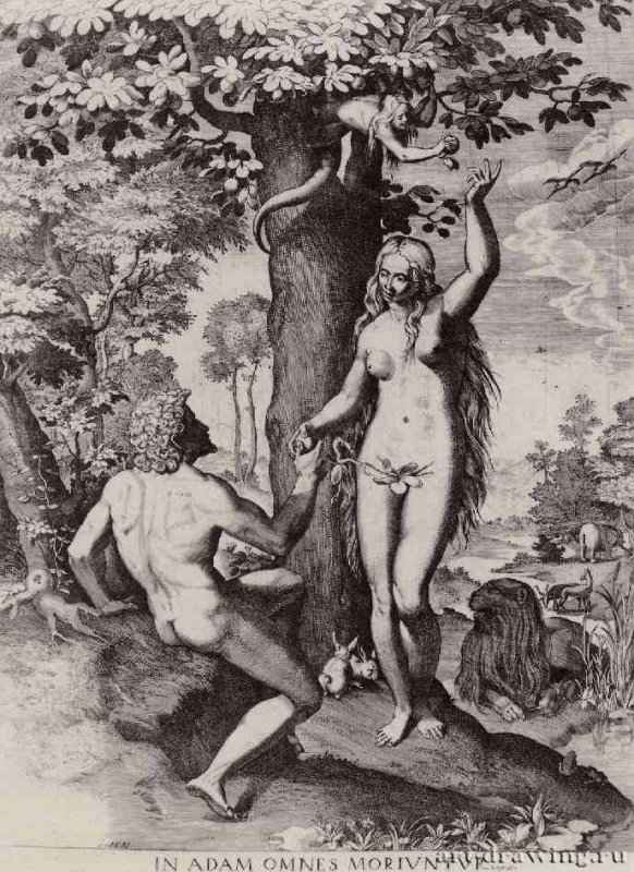 Адам и Ева. 1581 - 492 х 357 мм. Резцовая гравюра на меди. Вена. Собрание графики Альбертина. Италия.