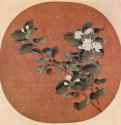 Ветка цветущего жасмина - 12 век24,9 x 27,1 смШёлк, тушь, краскиКитайКамакура. Собрание ЗугахараЛист из альбома