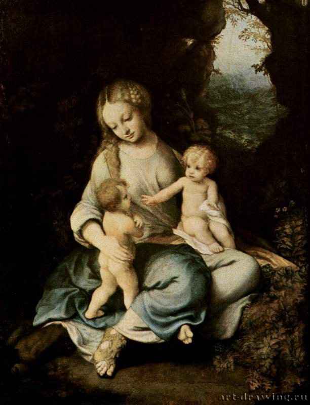 Мадонна с младенцем и Иоанном Крестителем - 1516 *48 x 37 смДерево, маслоВозрождениеИталияМадрид. Прадо