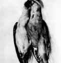 Две мертвые птицы, 1530 г. - Акварель и гуашь красным, серо-коричневым и черным тоном, на бумаге; 216 x 143 мм. Утрачен во время Второй мировой войны. Германия.