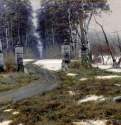 Пейзаж, 1895 г. - Холст, масло; 71 х 114 см. Россия.