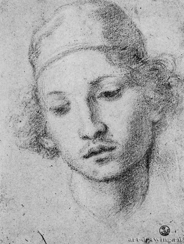 Голова юноши. 1610-1625 - 215 х 163 мм Черный мел, на коричневатой бумаге Флоренция Уффици, Кабинет рисунков и гравюр Италия