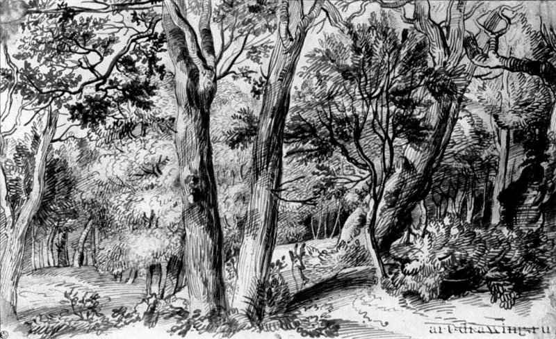 Лесной пейзаж с оленем. 1650-1660 - Перо коричневым тоном, на бумаге 236 x 388 мм Риксмузеум Амстердам