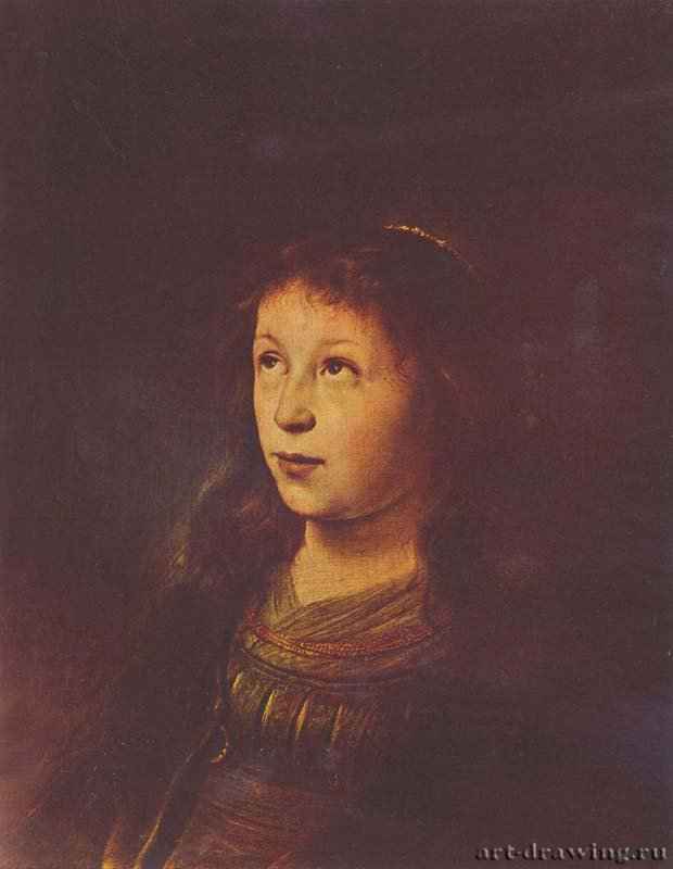 Портрет девушки - 1630-163561,5 x 48 смДубовая доскаБароккоНидерланды (Голландия)Будапешт. Венгерский музей изобразительных искусств