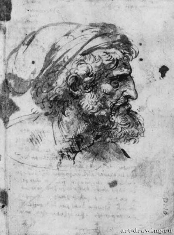 Голова фарисея. 1504 - 109 х 145 мм. Перо, отмывка, на бумаге. Виндзорский замок. Королевская библиотека.