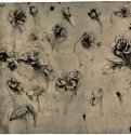 Ботанические этюды, среди прочих шиповник и фиалка. 1483 - 220 х 183 мм. Перо по рисунку металлическим штифтом, на коричневатой бумаге. Венеция. Галерея Академии.