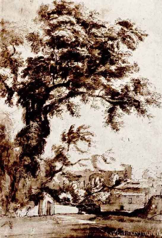 Дерево и римские руины. 1630-1638 - 317 х 219 мм. Перо бистром, отмывка, на бумаге. Лондон. Британский музей, Отдел гравюры и рисунка. Франция.