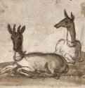 Два оленя. 1640-1649 - 152 х 126 мм. Черный мел, отмывка бистром, на бумаге. Брэдфорд (Пенсильвания). Питтсбургский университет, Публичная библиотека, собрание Хэнли. Франция.