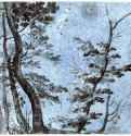 Деревья. 1640-1649 - 200 х 260 мм. Перо бистром, отмывка, на голубой бумаге. Нью-Йорк. Собрание Леман. Франция.