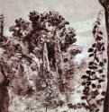 Деревья и виноград. Вторая треть 17 века - 275 х 210 мм. Перо бистром, отмывка, на голубой бумаге. Байонна. Музей Бонна, Кабинет рисунков. Франция.