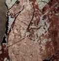 Гробница Джену, писца войска Тутмоса IV. Кони. 1422-1411 до н.э. - Мастер гробницы Джену. 31 x 22 см. Настенная роспись. Египет. Фивы. Гробница Джену.