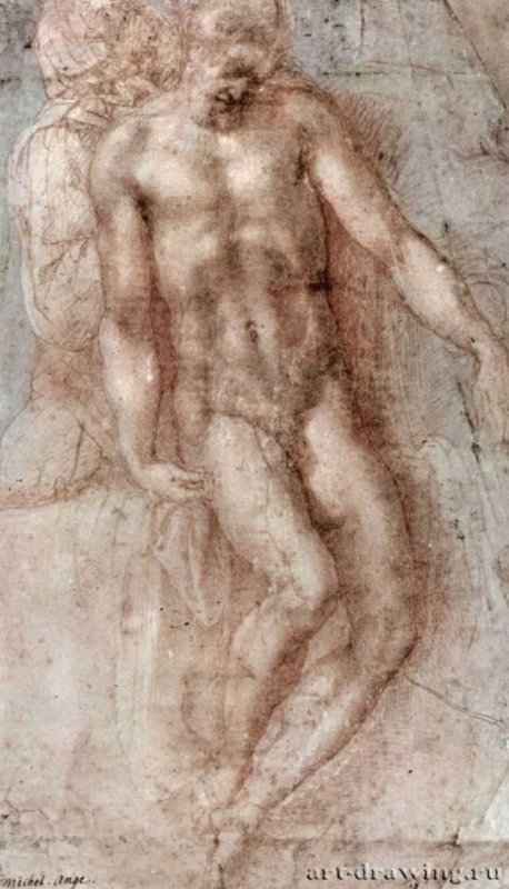 Тело Христа. 1511-1520 - 411 х 233 мм. Сангина и черный мел, на бумаге. Вена. Собрание графики Альбертина.