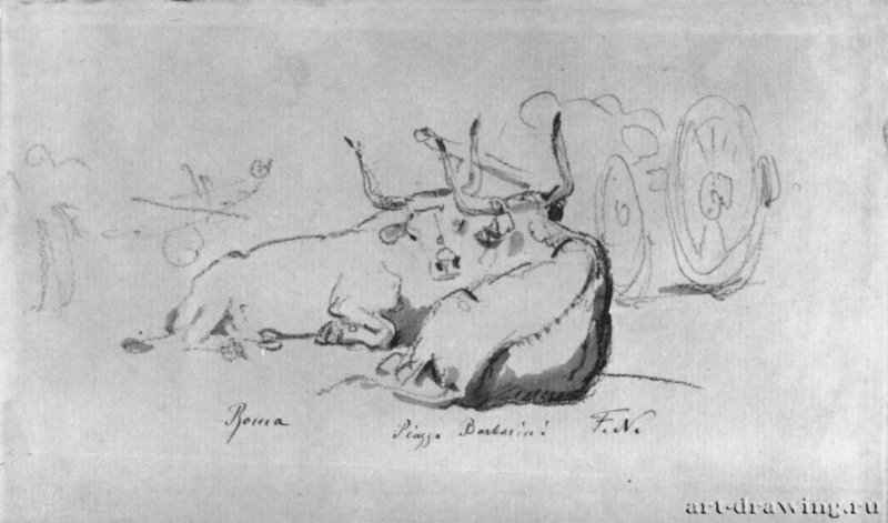 Буйволы на Пьяцца Барберини в Риме. 1830 - 1837 - 130 x 209 мм. Карандаш и кисть тушью на желтовато-коричневатой бумаге. Бремен. Кунстхалле, Гравюрный кабинет.