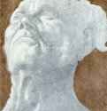 Голова мужчины, смотрящего вверх. 1480-1520 - Пьеро ди Козимо: 230 х 200 мм. Синий мел, подсветка белым, фон с отмывкой бистром, на бумаге. Рим. Национальный кабинет гравюр.