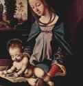 Мадонна с читающим младенцем Иисусом - 1485-149083 x 56 смДерево, маслоВозрождениеИталияСтокгольм. Королевское собрание