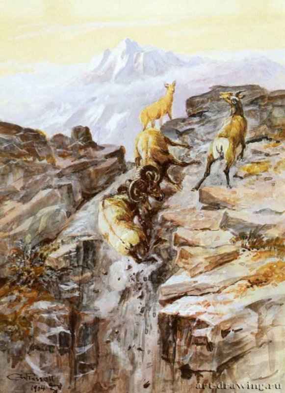 Горные бараны, 1904 г. - Акварель; 26,04 x 19,05 см. Частное собрание. США.