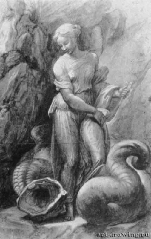Св. Маргарита. 1518 - 371 х 232 мм. Перо, подсветка белым, на бумаге. Харлем. Музей Тейлера.