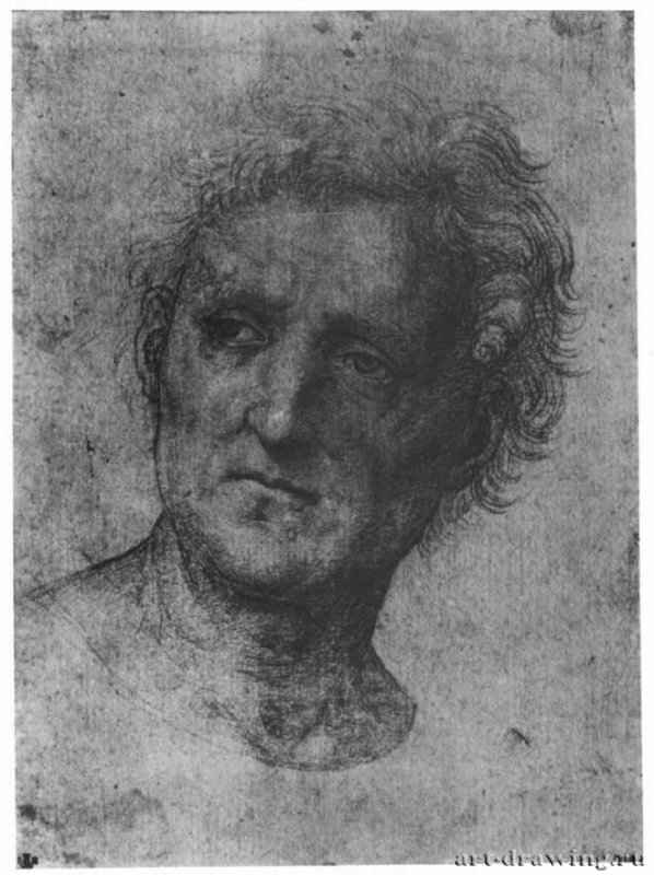 Голова мужчины. 1504 - 255 х 190 мм. Черный мел по подготовке стилом, на бумаге. Лондон. Британский музей, Отдел гравюры и рисунка.