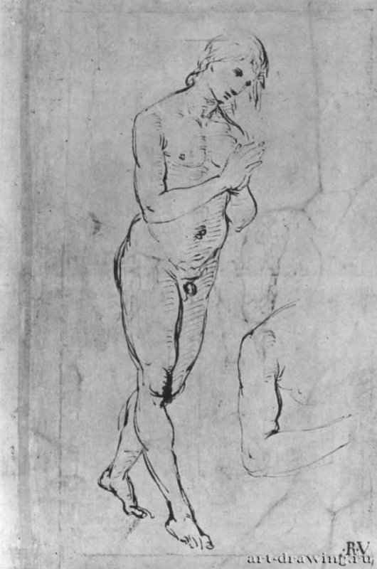 Обнаженный юноша с молитвенно сложенными руками. 1506 - 244 х 163 мм. Перо на бумаге. Вена. Собрание графики Альбертина.