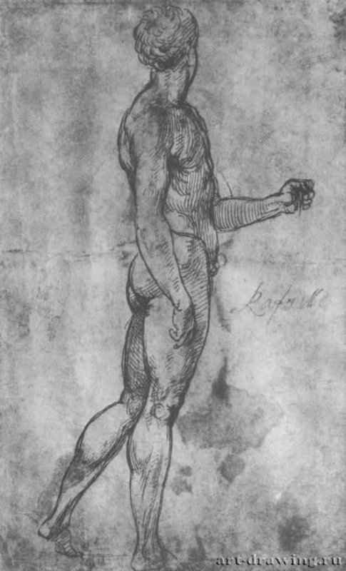 Обнаженный. 1506-1507 - 279 х 169 мм. Перо на бумаге. Лондон. Британский музей, Отдел гравюры и рисунка.