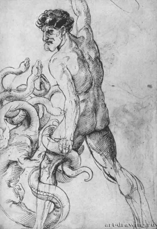 Геракл, сражающийся с гидрой. 1507-1508 - 390 х 272 мм. Перо по подготовке стилом, на бумаге. Виндзорский замок. Королевская библиотека.