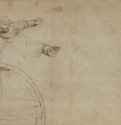 Урания, рассматривающая созвездия. 1509-1510 - 235 х 408 мм. Перо коричневым тоном на коричневатой бумаге. Вена. Собрание графики Альбертина.
