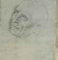 Голова смотрящего вверх мужчины. 1505 - 117 х 82 мм. Серебряный штифт на грунтованной серо-зеленым тоном бумаге. Лилль. Дворец изящных искусств, Кабинет рисунков.