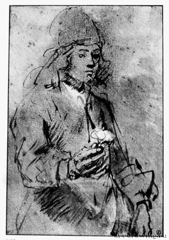 Юноша с цветком (Титус). 1665-1669 - Перо бистром, на бумаге 175 x 118 мм Лувр Париж