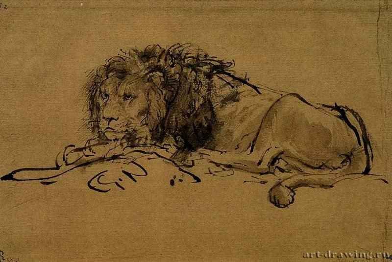 Лежащий лев - Перо, кисть, тушь, тонированная бумага 13,8 x 20,7 Лувр Париж