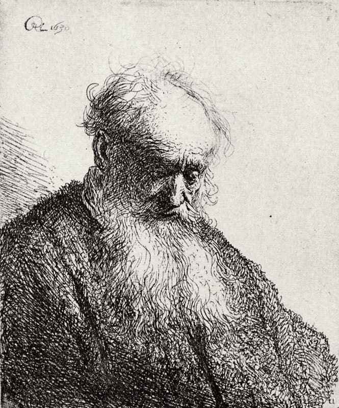 Голова старика с длинной бородой. 1630 - Офорт 97 x 81 мм Собрание Я. де Брёйна