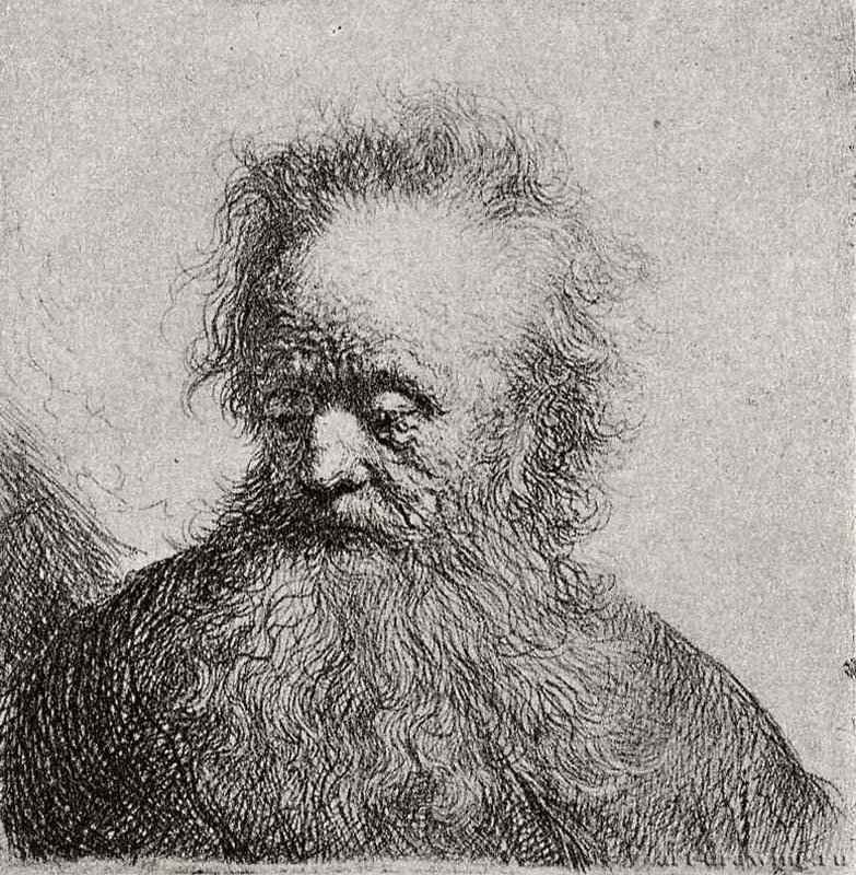 Голова старика с длинной бородой, глядящего в сторону. 1630 - Офорт 66 x 66 мм Собрание Я. де Брёйна