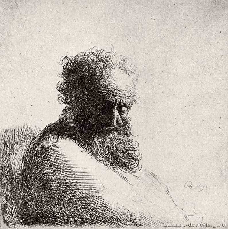 Голова старика с длинной бородой. 1631 - Офорт 119 x 104 мм Собрание Я. де Брёйна