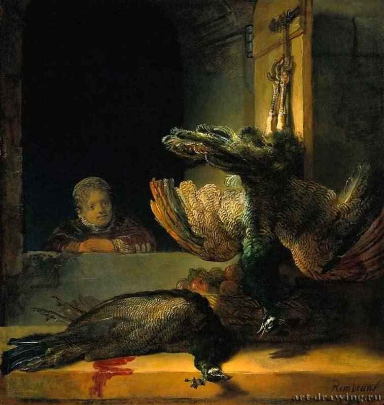 Мёртвые павлины. 1639 - Холст, масло. 145 x 135,5. Риксмузеум. Амстердам.