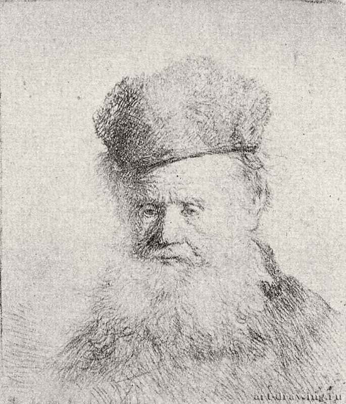 Портрет бородатого старика в меховой шапке. 1631 - Офорт 61 x 54 мм Собрание Я. де Брёйна