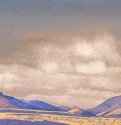 Монголия. Холмы Чахара 1936 г. - Картон, темпера; 30,2 х 45,6 см. Музей Николая Рериха. Нью-Йорк, США.