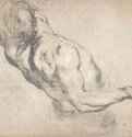 Этюд мужского тoрса. 1610 - 315 х 367 мм. Уголь (промасленный), подсветка белым, на слегка подцвеченной бумаге. Оксфорд. Музей Эшмолеан, Отдел гравюры и рисунка. Фландрия.