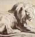 Этюд льва. 1620 - 283 х 429 мм. Черный мел, кисть коричневой тушью, подсветка белым, на бумаге. Лондон. Британский музей, Отдел гравюры и рисунка. Фландрия.