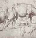 Коровы. 1620 - 340 х 522 мм. Перо и кисть коричневой тушью, на бумаге. Лондон. Британский музей, Отдел гравюры и рисунка. Фландрия.