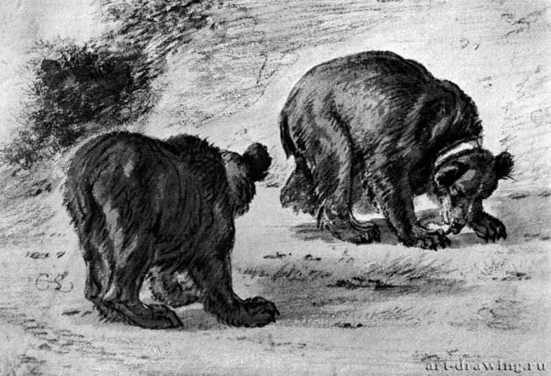 Медведи. Вторая половина 17 века - Черный мел, цветная отмывка, на бумаге 200 x 310 мм Музей Фодор Амстердам