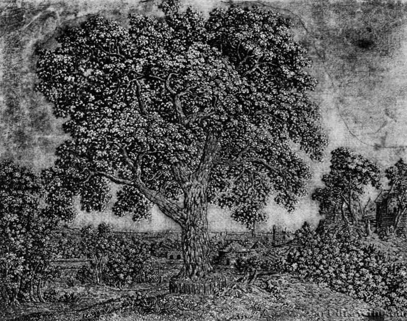 Большое дерево. 1621-1632 - Офорт, черный оттиск на белой, грунтованной серовато-коричневым тоном бумаге 217 x 277 мм Риксмузеум Амстердам