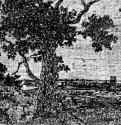 Пейзаж со старым дубом и видом в даль. 1621-1632 - Офорт, черный оттиск на окрашенной светло-коричневой хлопковой ткани 75 x 134 мм Риксмузеум Амстердам