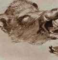 Этюд головы вепря. Первая половина 17 века - 102 х 145 мм. Перо и отмывка коричневым тоном, на бумаге. Лондон. Британский музей, Отдел гравюры и рисунка. Фландрия.