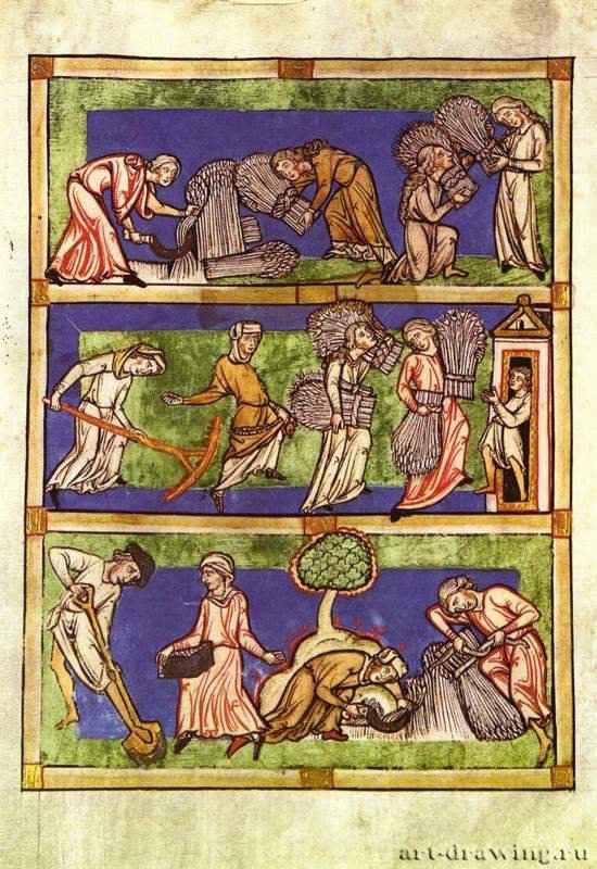 Сцена из "Зерцала дев". Сбор урожая. 1310 * - 33,8 x 24,4 смПергаментГотикаГерманияБонн. Музей земли РейнландМиниатюра в рукописи