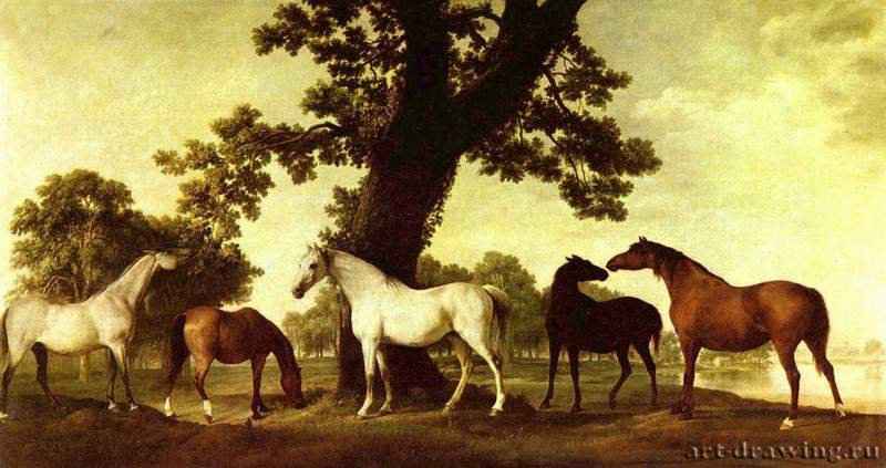 Кони на фоне пейзажа. 1760-1770 * - 99 x 188 смХолст, маслоРомантизмВеликобританияУинг (Бакингемшир). Аскотт-хаус