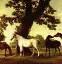 Кони на фоне пейзажа. 1760-1770 * - 99 x 188 смХолст, маслоРомантизмВеликобританияУинг (Бакингемшир). Аскотт-хаус
