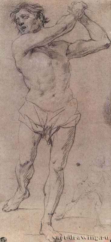 Этюд обнаженного натурщика. 1695-1696 - 342 х 162 мм. Черный мел, небольшая подсветка белым, на серо-коричневой бумаге. Берлин. Гравюрный кабинет. Италия.