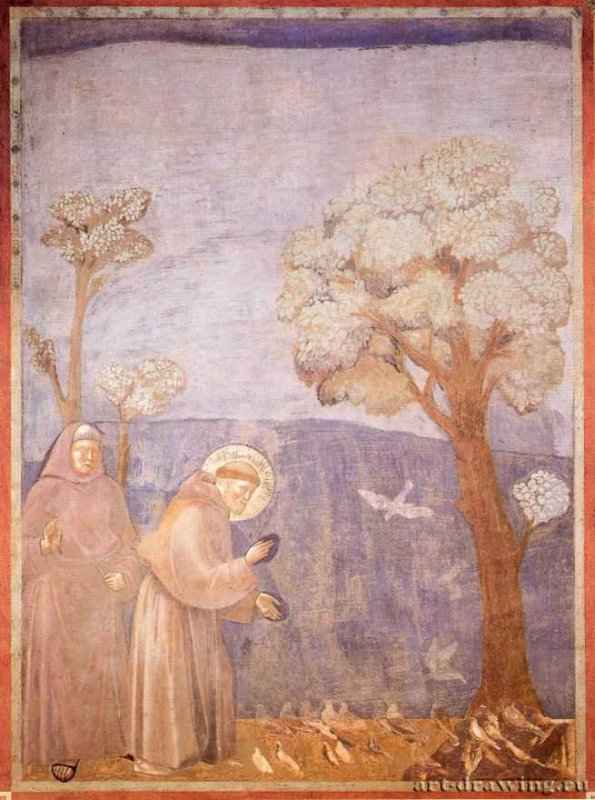 Св. Франциск проповедует птицам. 1295 - Фреска. Ассизи. Сан Франческо, верхняя церковь.
